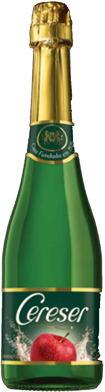 SIDRA CERESER cópia