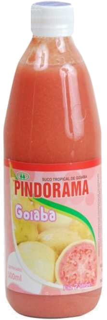 Suco de Goiaba Pindorama GF 12x500mL – Fornecedor: Pindorama